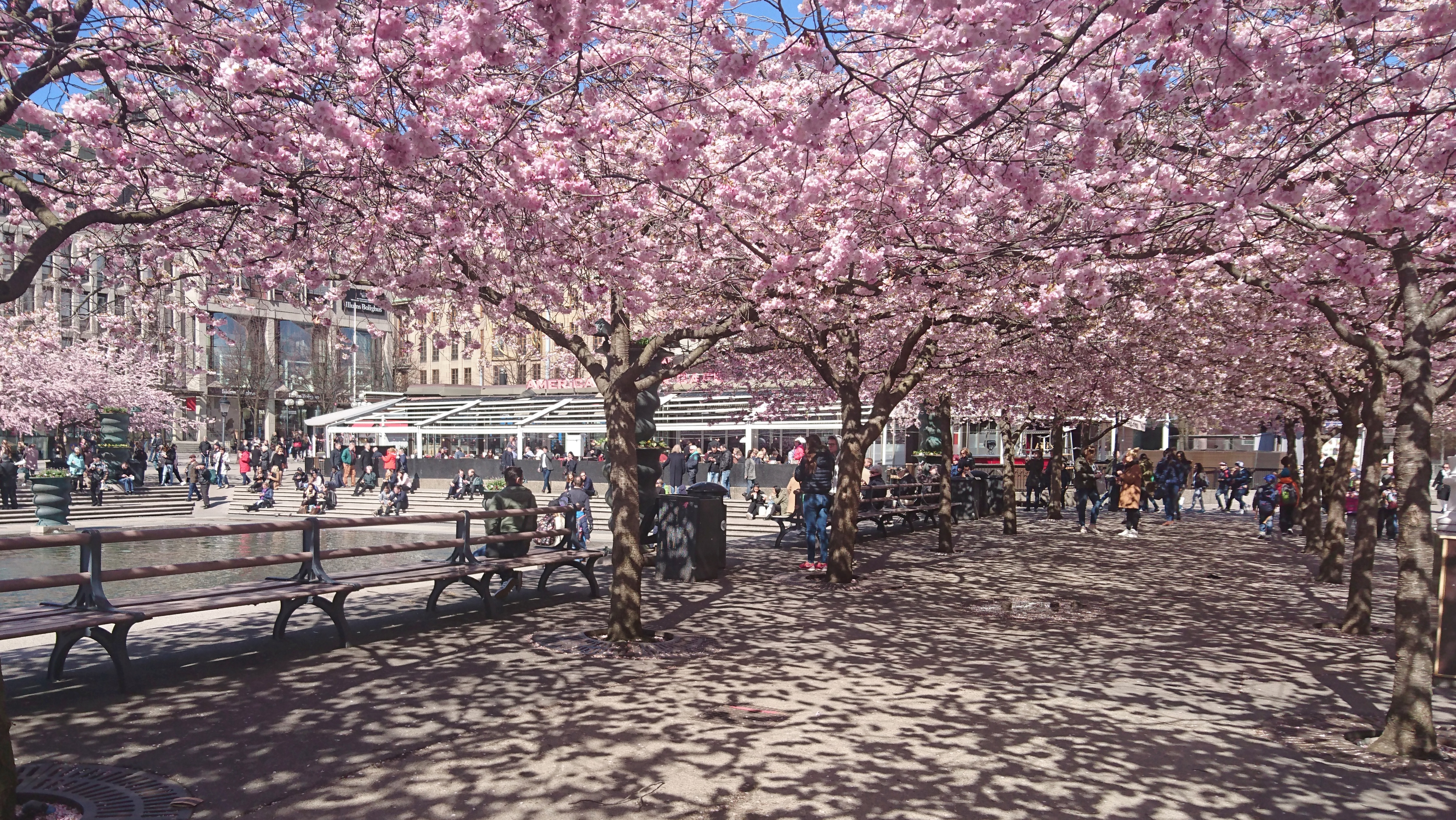 Nordic Market Access Leaders: Stockholm Spring